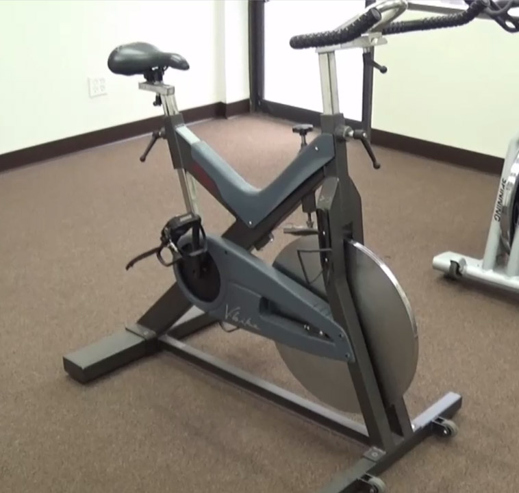 trek exercise bike