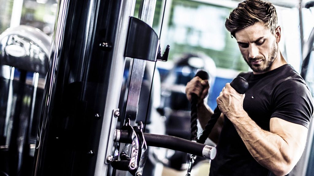 Why You Should Buy Used Hammer Strength Equipment for Sale
