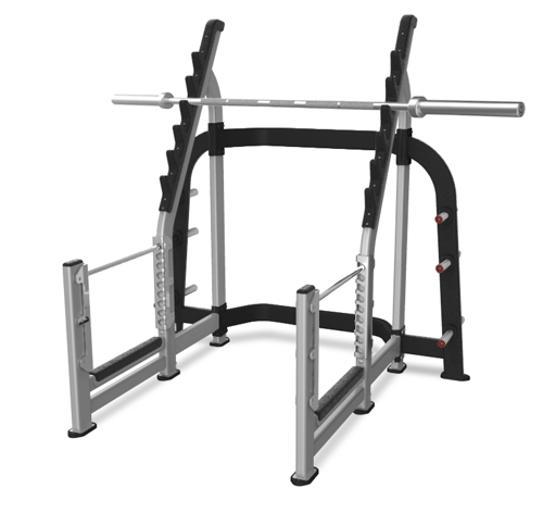 Nautilus Olympic Squat Rack