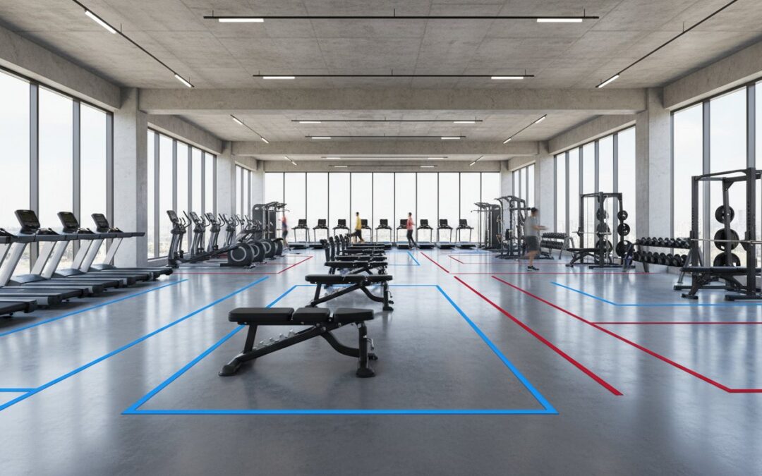 Commercial Gym Layout Planning Guide: Designing for Flow, Safety, and ROI